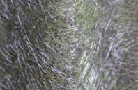 Gearraidh Gadhal fibreglass roof work